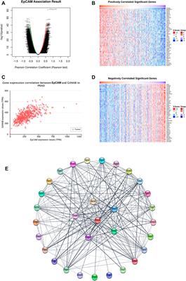 EpCAM as a Novel Biomarker for Survivals in Prostate Cancer Patients